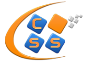 Crucial-solutions-services Crucial Solutions & Services